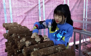 Thạc sĩ Xã hội học về quê làm giàu nhờ nông nghiệp